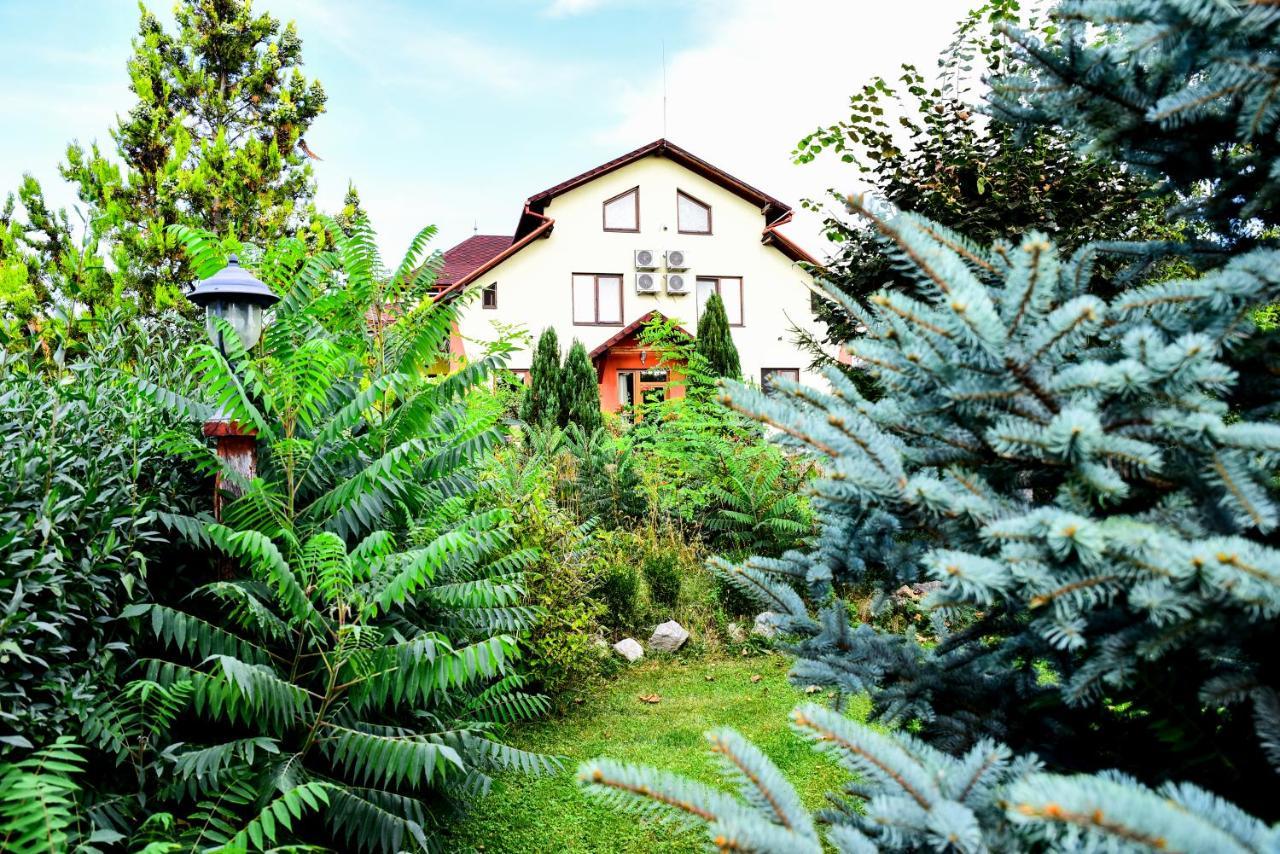 Casa Moteasca Otel Mihai Viteazu  Dış mekan fotoğraf