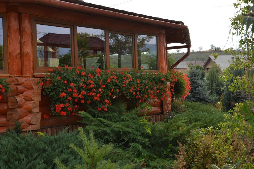 Casa Moteasca Otel Mihai Viteazu  Dış mekan fotoğraf