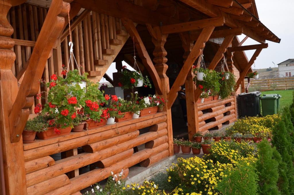 Casa Moteasca Otel Mihai Viteazu  Dış mekan fotoğraf